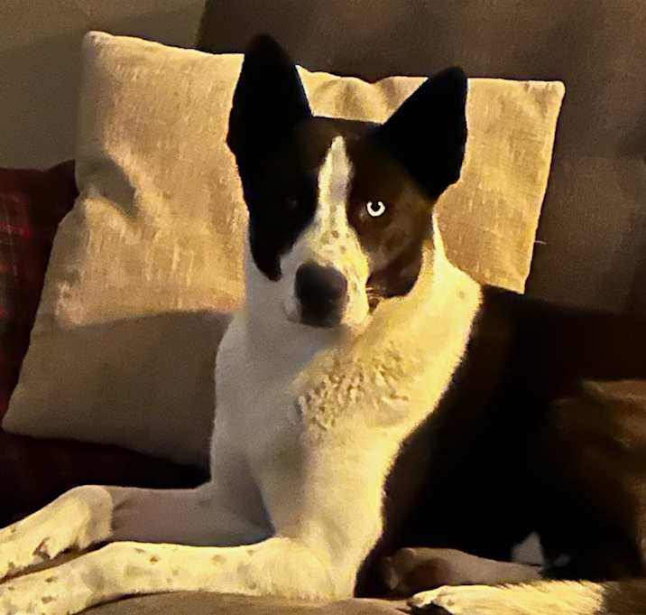 Photo of Baby Girl
