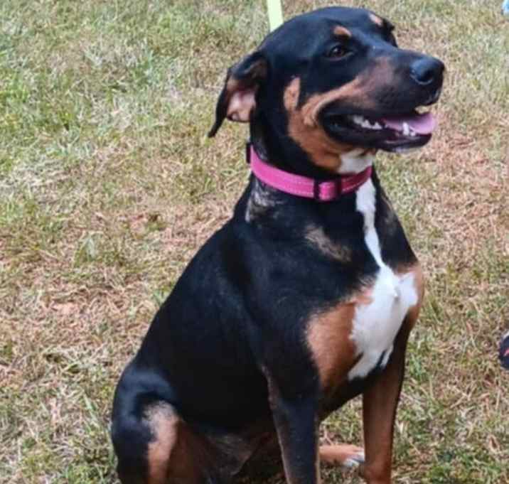 Photo of Layla Momma
