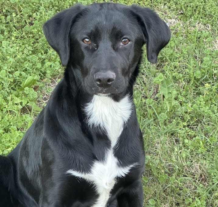 Photo of Daisey