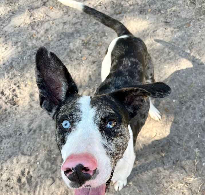 Photo of Malibu