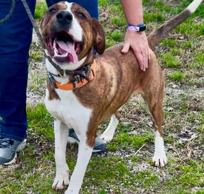Photo of Hank