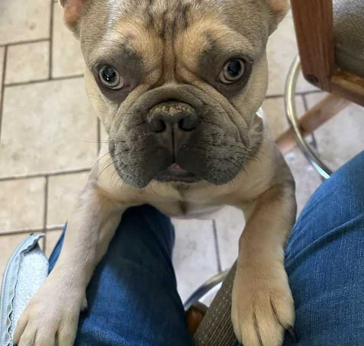 Photo of Tito