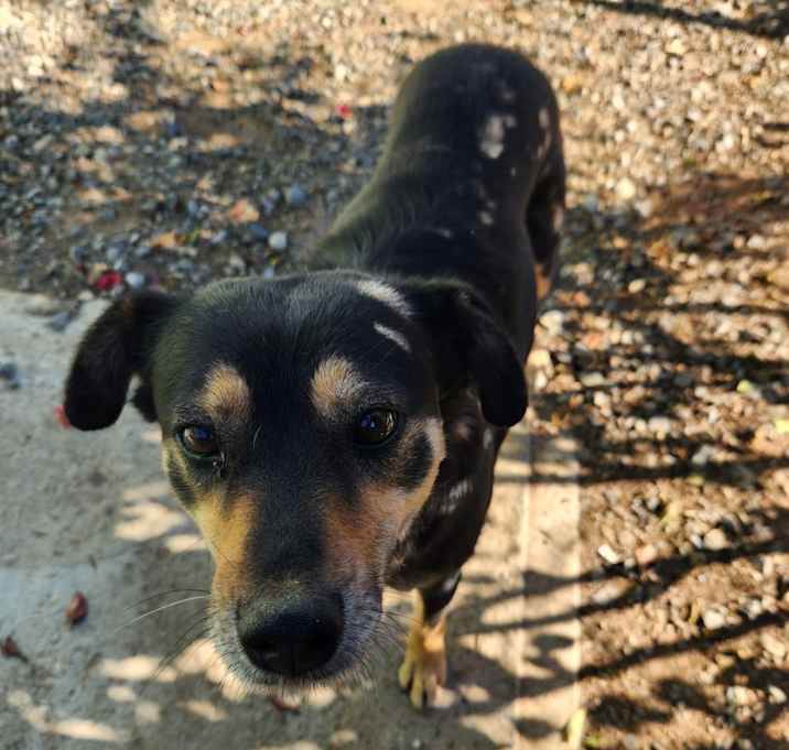 Photo of Myla