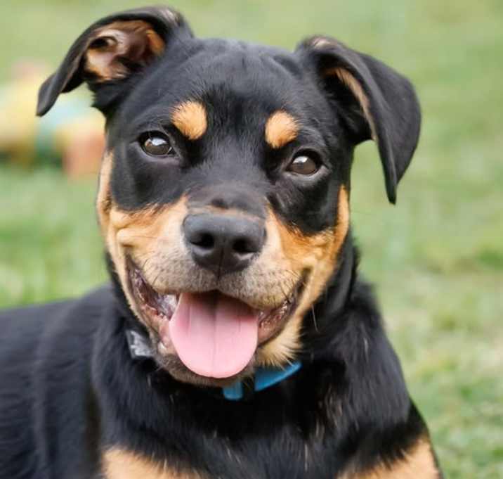 Photo of “Britt” aka Brittle