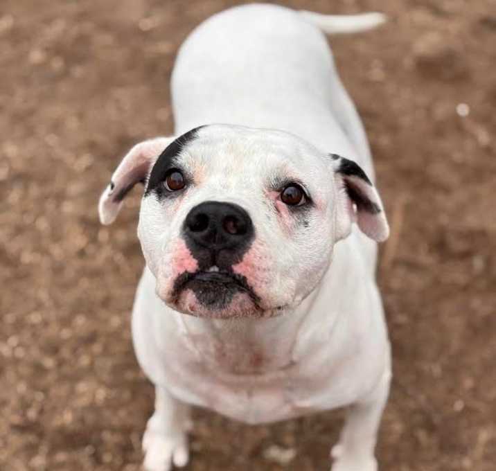 Photo of Kiki