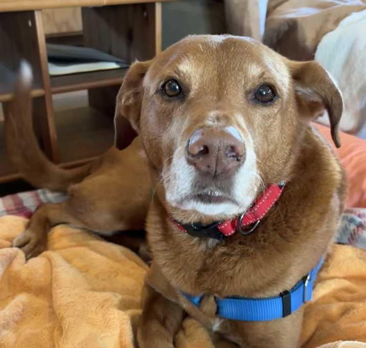 Photo of Gus