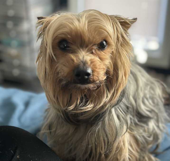 Photo of Duke