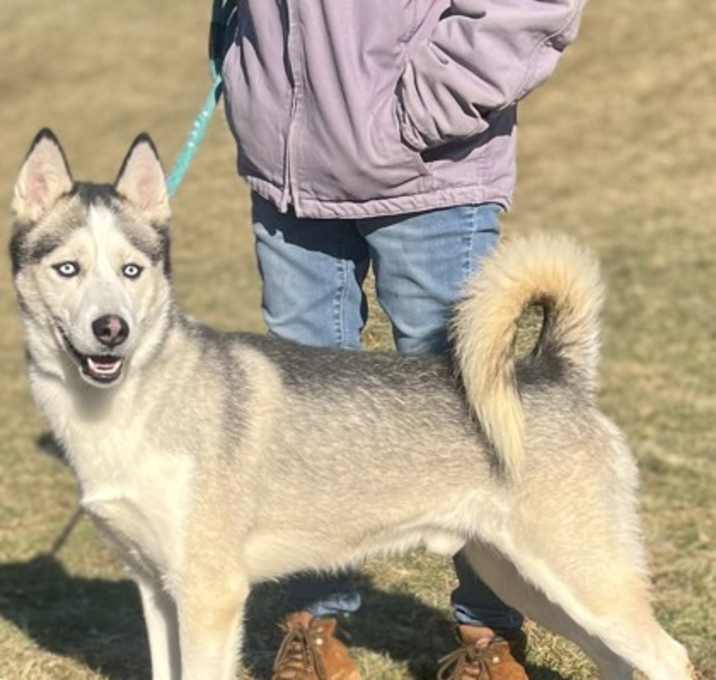 Photo of Spike