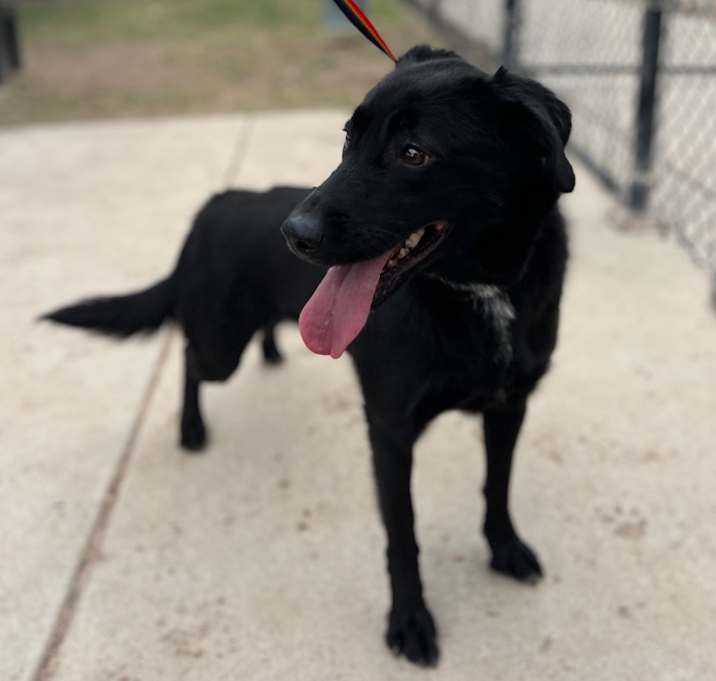 Photo of Dora