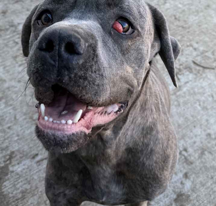 Photo of Zeus