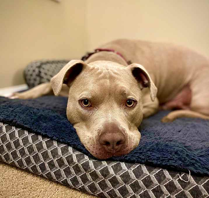 Photo of Riddick