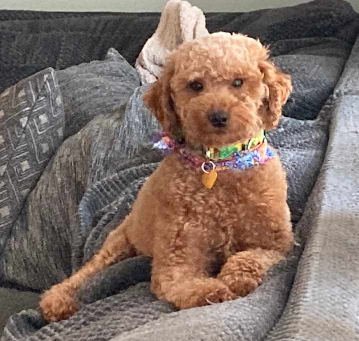 Photo of Abigail