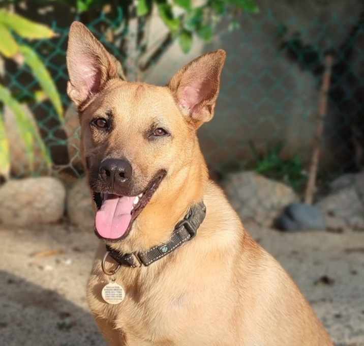 Photo of Ken aka Jack