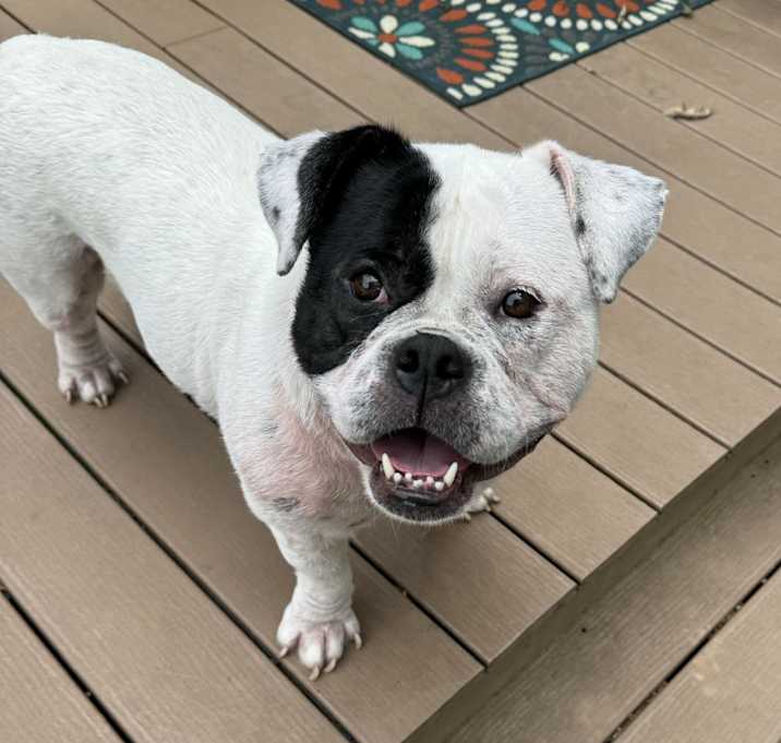 Photo of Martha