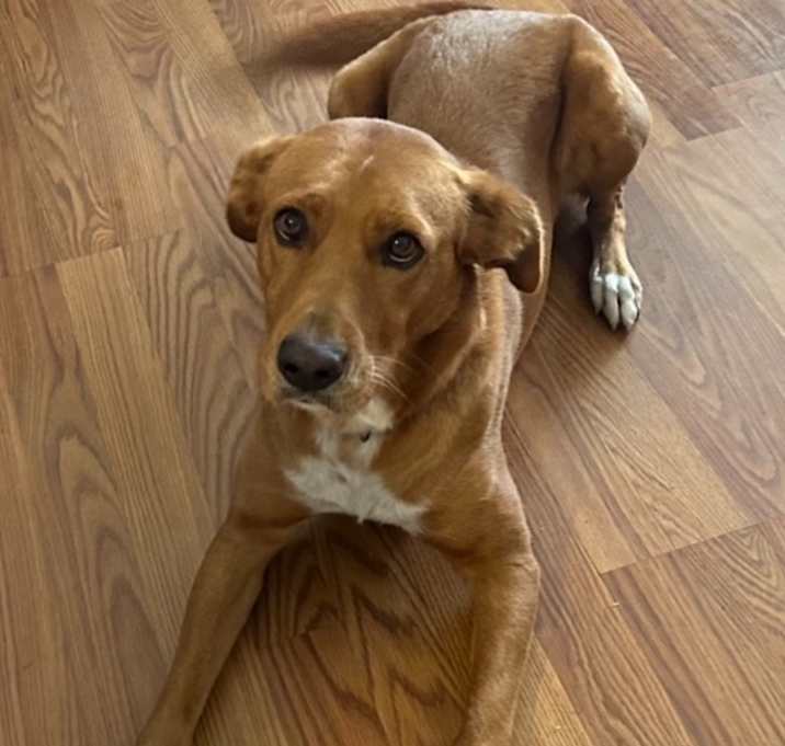 Photo of Lulu
