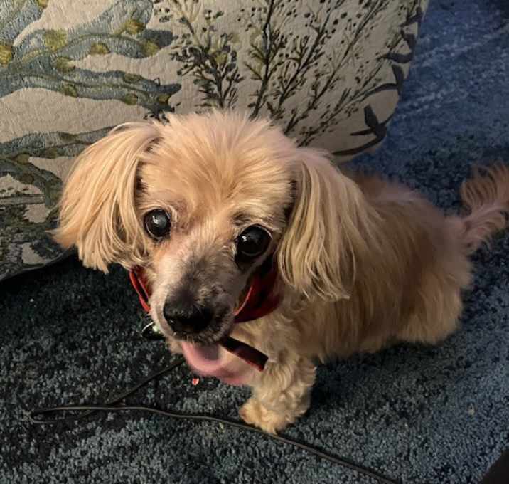 Photo of Trix