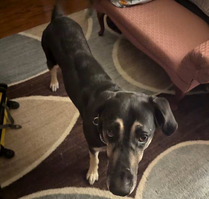 Photo of Daisy Mae