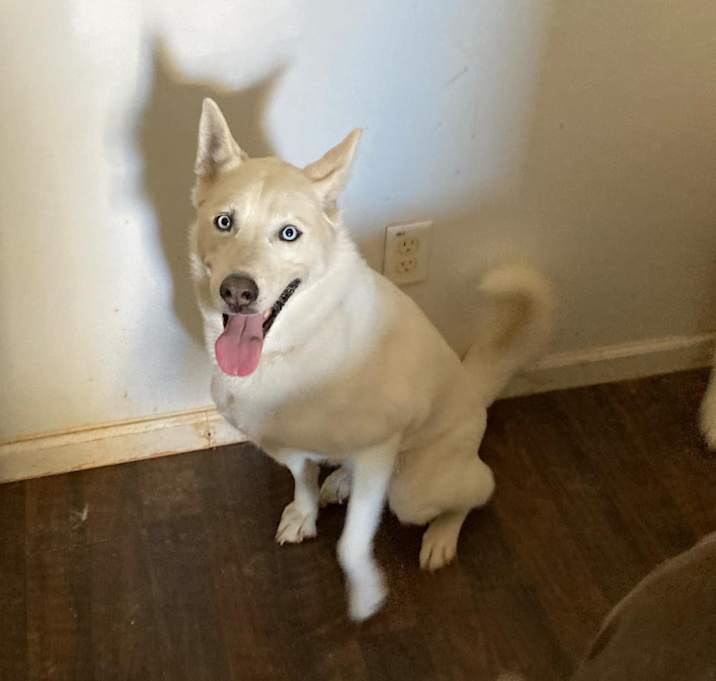 Photo of Ice