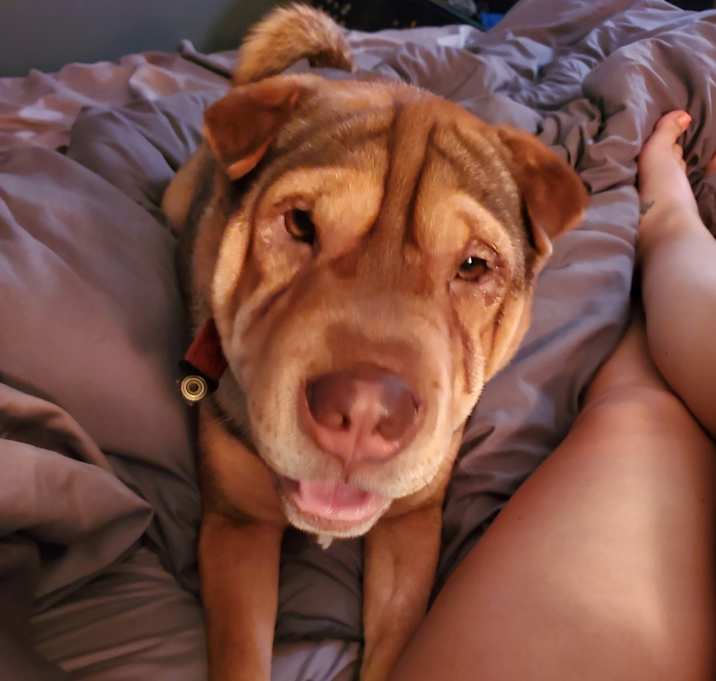 Photo of Chucho