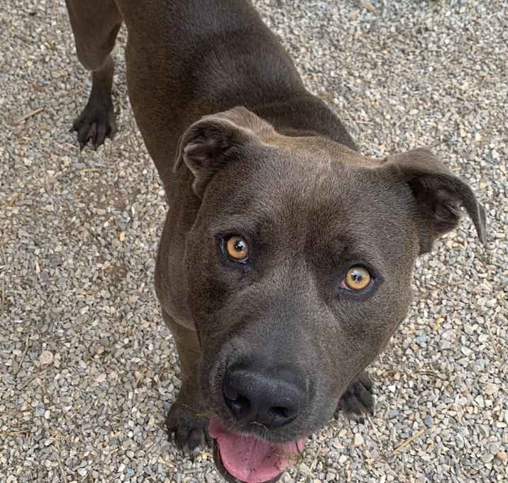 Photo of CJ (Jasper)