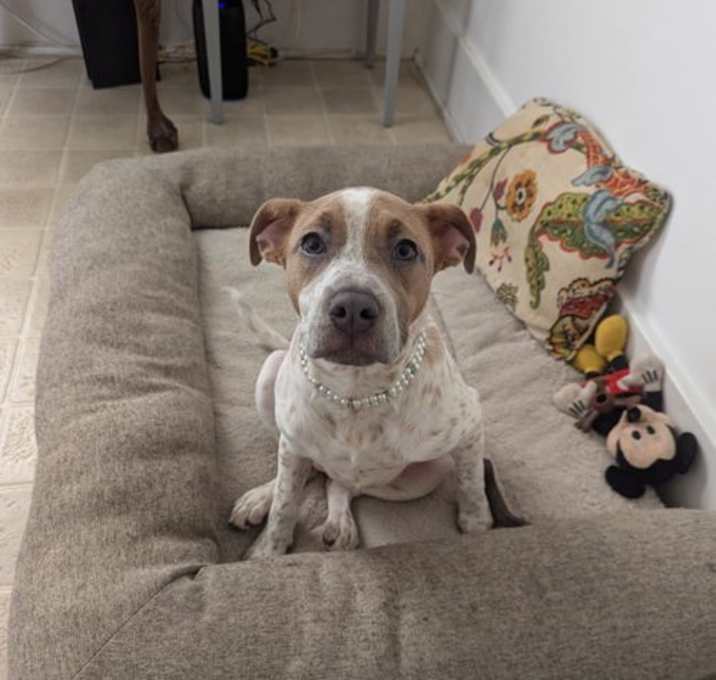 Photo of Pearl *Rochester NY*
