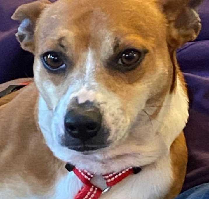 Photo of Oscar