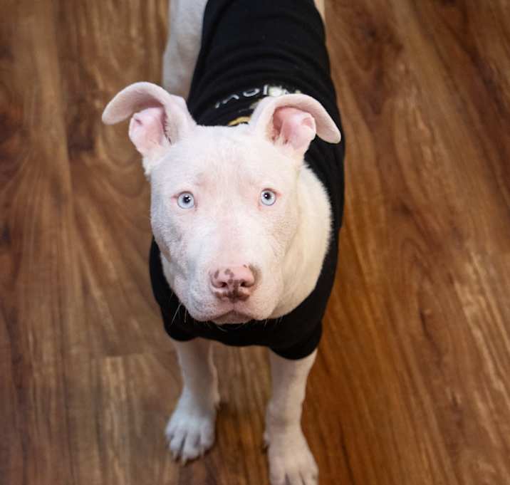 Photo of Zizzy