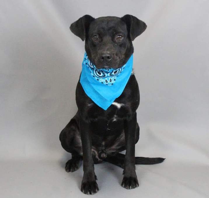 Photo of Blueberry