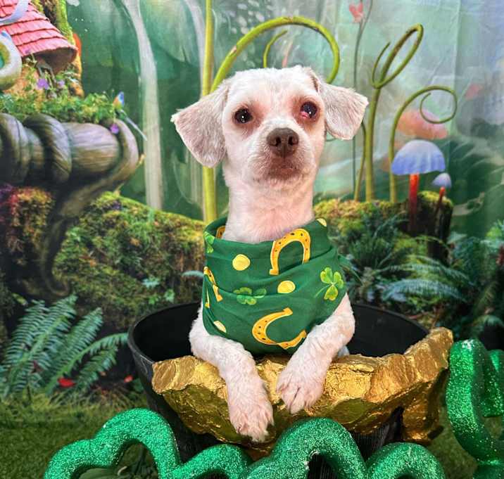 Photo of Jake