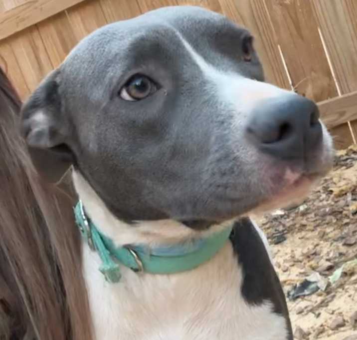 Photo of Luna