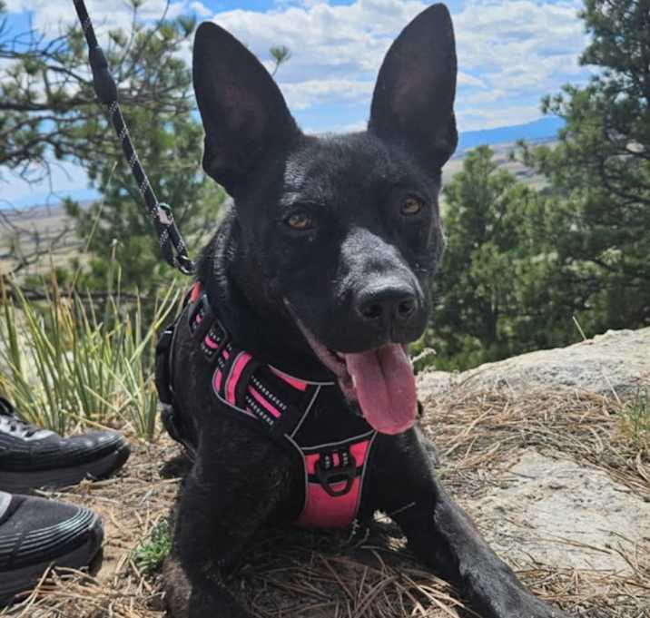 Photo of Echo