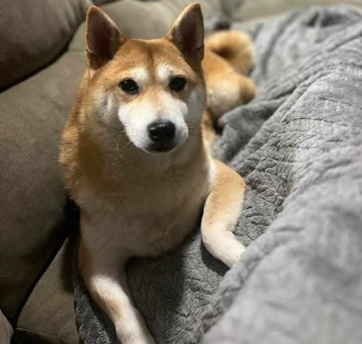 Photo of Grace
