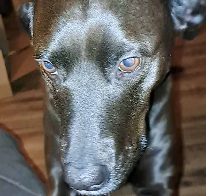 Photo of Hope