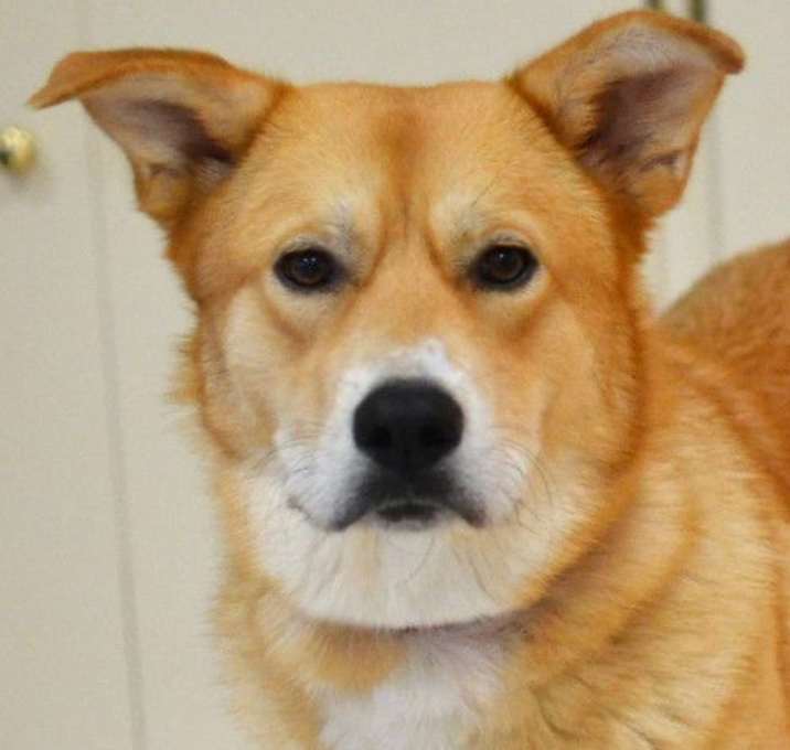 Photo of Lilly