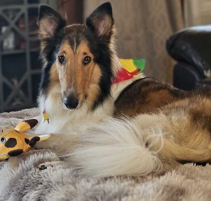 Photo of Beau