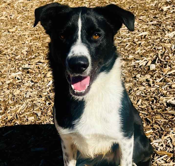 Photo of Zeke
