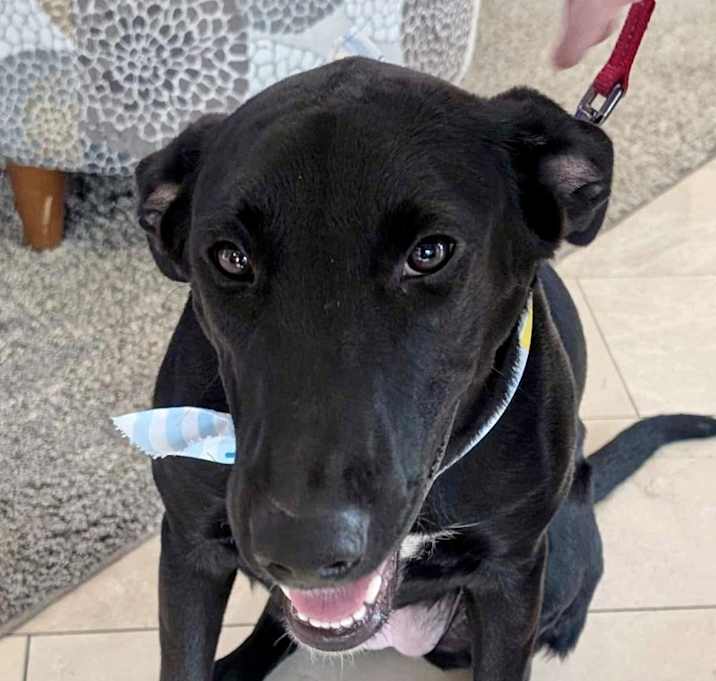Photo of Ruby