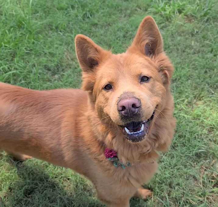 Photo of Mocha