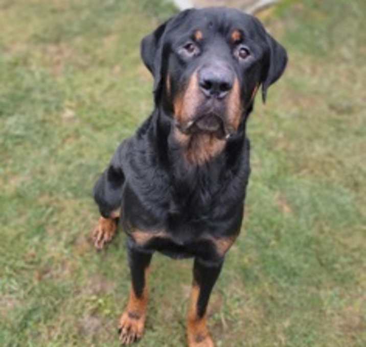 Photo of Mister