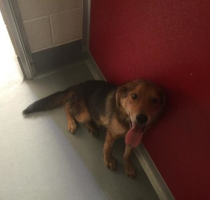 Photo of ROCKET