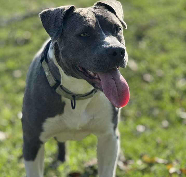 Photo of Livie