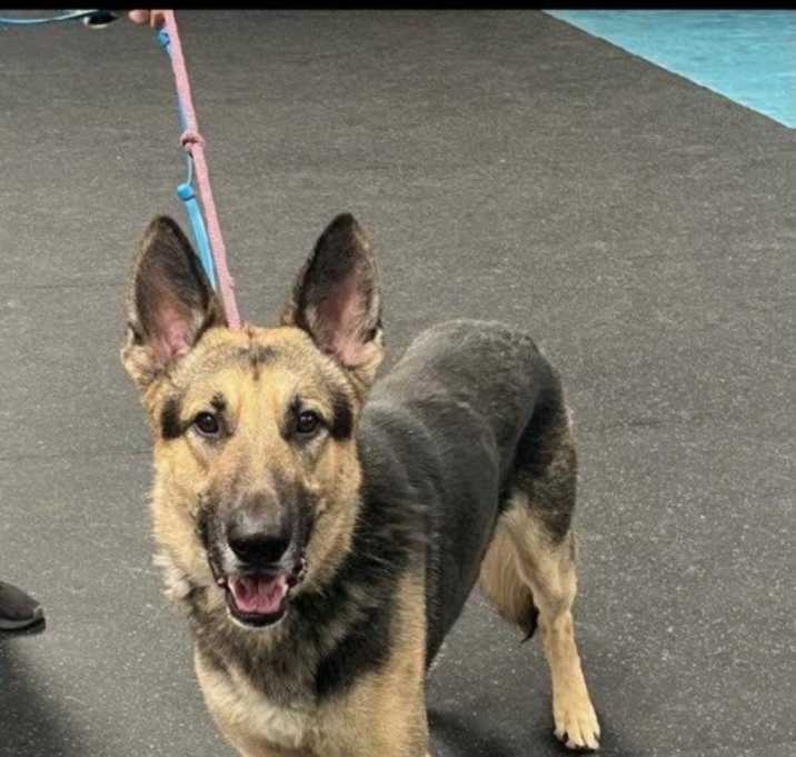 Photo of Duke
