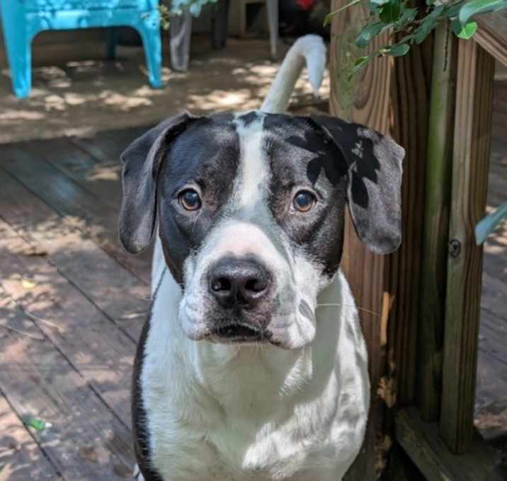 Photo of Cash