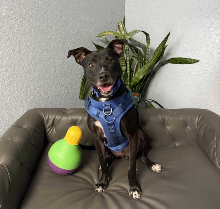 Photo of Emmett Everly