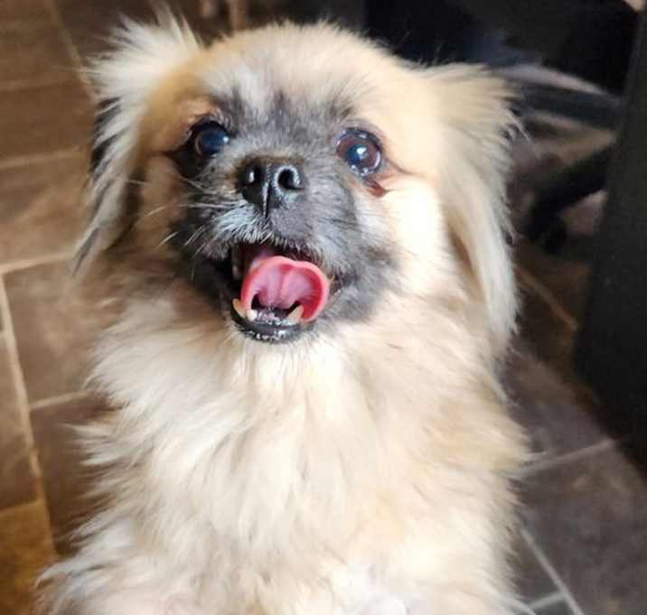 Photo of Mia