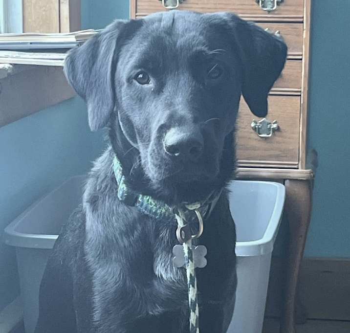 Photo of Knox