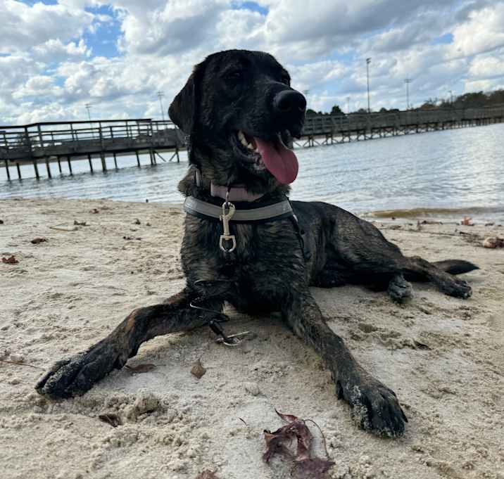 Photo of Bama