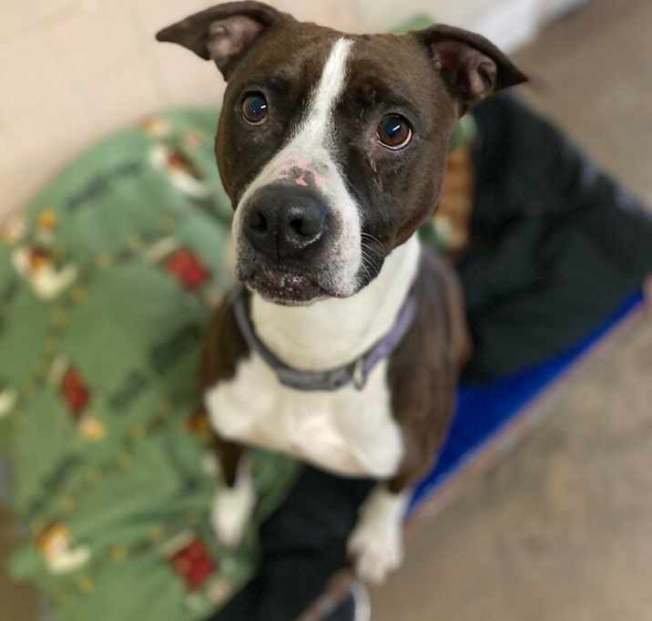 Photo of MISFIT