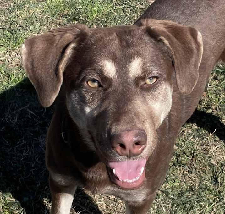 Photo of Sally