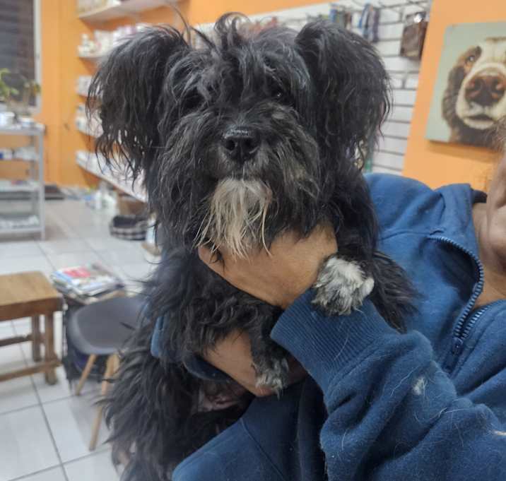 Photo of Juanita